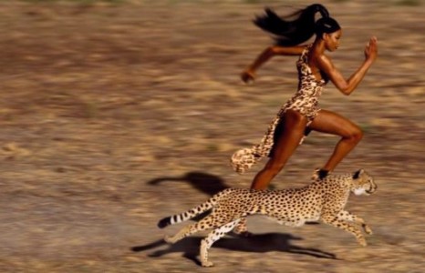 Загварын “хар ирвэс” номоо худалдаанд гаргалаа