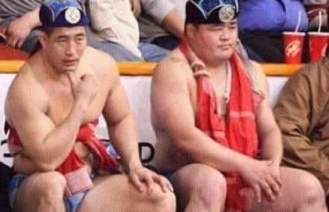 Халз барилдаанд оролцох 12 бөх тодорлоо