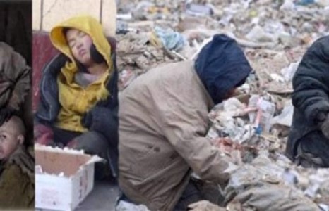 10 мянга гаруй хүүхэд хүнд хортой хөдөлмөр эрхэлдэг