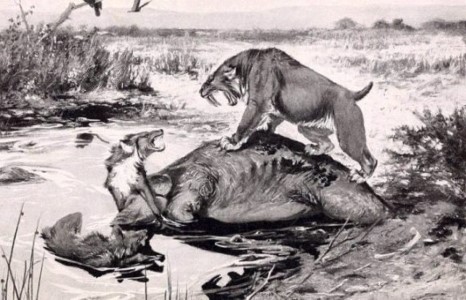 Зураг бүхэн түүхийн гэрч