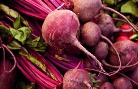 Элгээ хоргүйжүүлэх хамгийн тохиромжтой улирал бол хавар юм