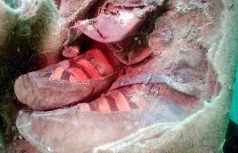 “Адидас”-тай шарилыг сэргээн засварлаж байна