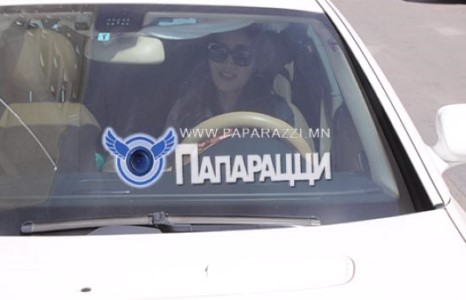 Туяагийн хун цагаан төмөр хүлэг