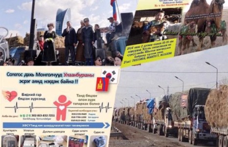 Хандиваар амьдардаг Монгол