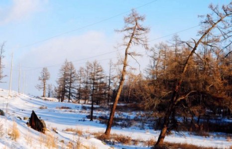 Хөвсгөлд өвдөг давсан их цас оржээ