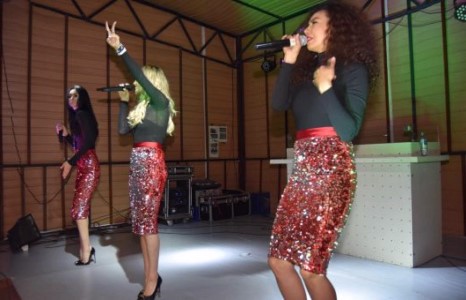 “Киви”-д алга ташья  