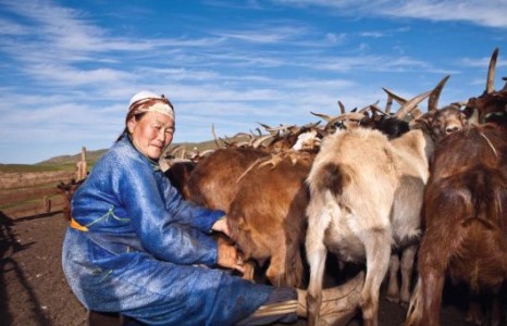 Иргэн Хорлоо түрээсийн орон сууцыг сонгожээ