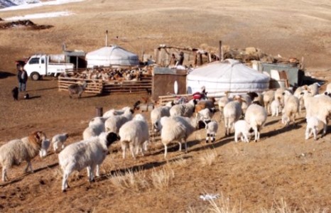 “Сайн малчин” хөтөлбөрт хэрхэн хамрагдах вэ