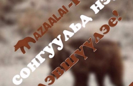 “Мазаалай баавгайг сонгуульд нэр дэвшүүлэе” аян сошиал нетворк-д маш эрчтэй өрнөж байна.