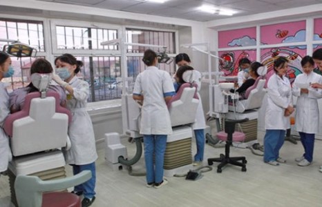 Жил бүр 300 эмч, 600 сувилагчийг гадаадад сургана