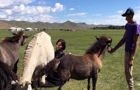 Анугийн үнэнч фенүүд гүү саах нь...