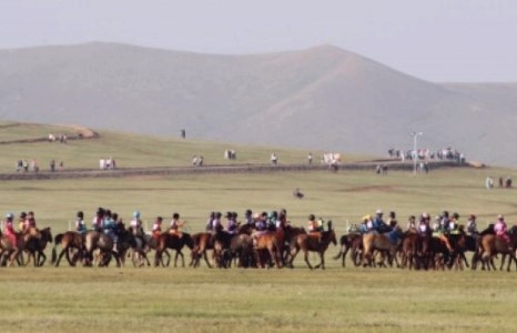 Соёолон насны морьд гарааны зурхайгаас хөдөллөө