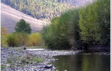 Туулын бургасанд буудаж танхайрсан “Доён” хочит У.Болдыг баривчилжээ