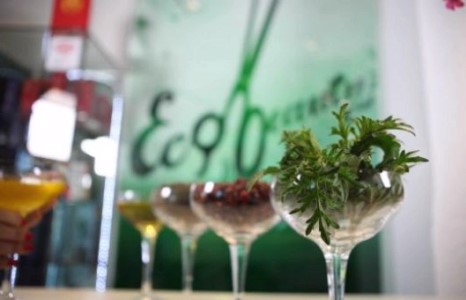 Үсний хөгшрөлтийг үгүй хийнэ-  “Eco beauty salon”