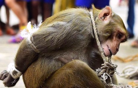 Мөхөн буй Монгол улс