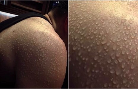 “Дуучин Болдын биеийн хөлс монгол поп хөлс гэнэ дээ ”