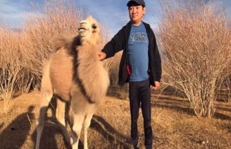 “Маск”-ын Баярмагнай өөрийн ихэрээ олжээ