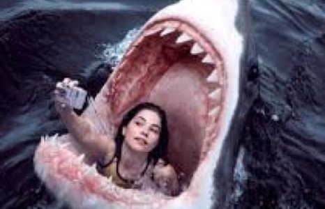 Сельфины тухай таны мэддэггүй сонирхолтой 24 баримт