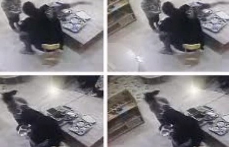 Хувийн цэцэрлэгүүд хүүхдийг зодож л байг уу