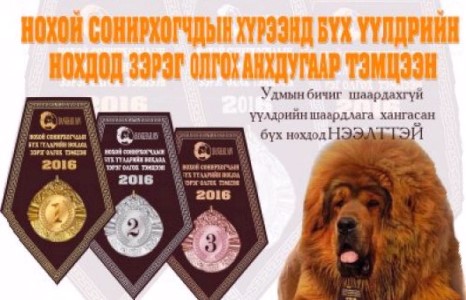 СОНИРХОГЧДЫН ХҮРЭЭНД БҮХ ҮҮЛДРИЙН НОХДОД ЗЭРЭГ ОЛГОХ АНХДУГААР ТЭМЦЭЭН тун удахгүй