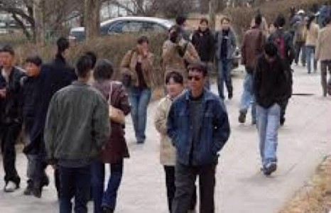 Дээд боловсролтой ажилгүйчүүдийн тоо 4472 мянгад хүрчээ