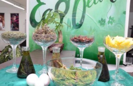 “Дэлхийн брэндийг Экочууд бүтээнэ” буюу “Eco beauty salon”-ы хамт олонтой танилц 