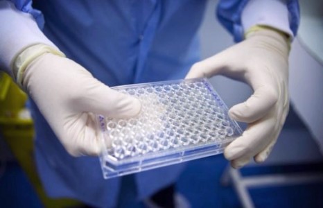 “Өвс”-нөөс бүх төрлийн хорт хавдрыг эмчлэх эмийг гарган авлаа