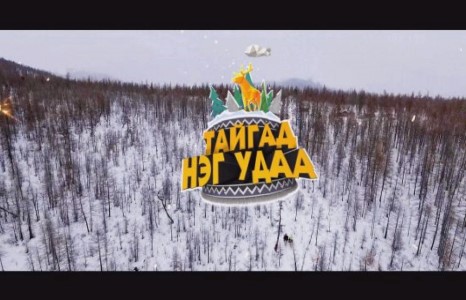 Тайгад юу болох гээд байна