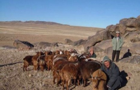 Малчид Өвөр Монгол руу нүүж байна