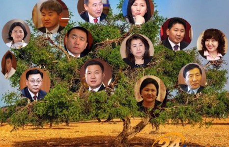 24 баримт: МАН-ын ураг төрлийн томилгооны мод мөчир, салаагаа хэрхэн нэмэв