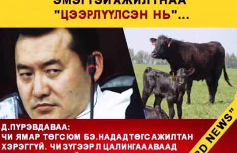 МАЛ ШИГ ТӨРДӨГ АЖИЛТНАА ”ЦЭЭРЛҮҮЛСЭН НЬ”...