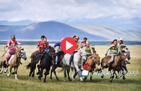 САЙХАН МЭДЭЭ: Монгол морийг харьд доромжлогдохоос хамгаалж чадлаа