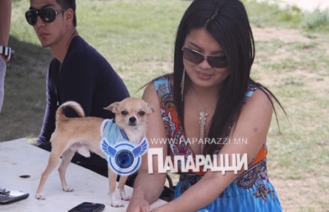 Нэлийсэн том биетэй, нэг их жижигхэн нохой дагуулсан мисс 