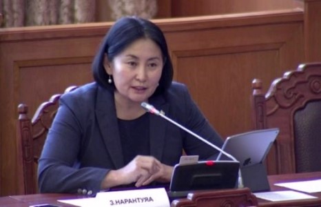 З.Нарантуяа: Би худлаа яриагүй шүү... Баримт үндэслэн чуулган дээр ярьсан...