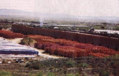 Тоосгоны үйлдвэрийн хятадууд монгол охидын биеийг үнэлж байна