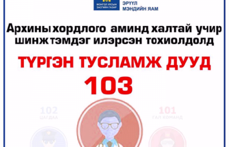 Архины хордлого аминд халтай учир дараах шинж тэмдэг илэрвэл 103т хандана уу