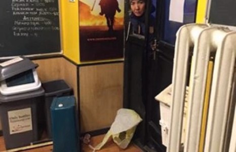 “Цэнхэр үст” Цэрэнгийн “Кафэ Амстердам” баарыг эвдэлж бохирложээ