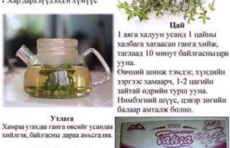 Ганга өвс архи уух дурыг бууруулдаг