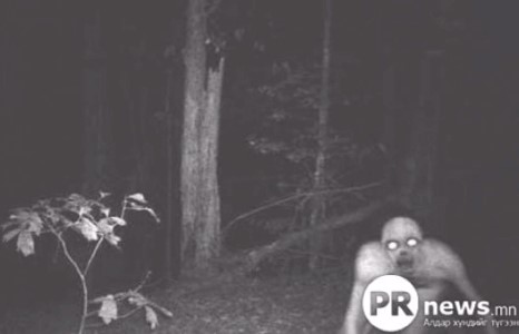 Шөнийн камераар авсан аймшигт 14 зураг