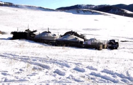 Анхаар, эрс хүйтэрнэ