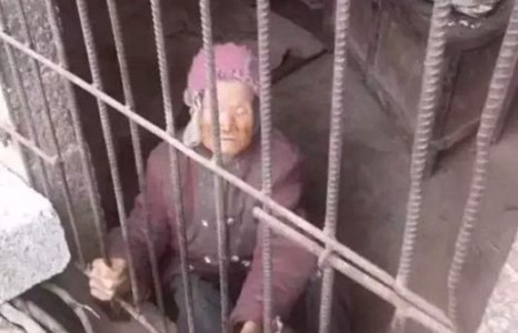 92 настай ээжийгээ гахайн оромжинд хорьдог байжээ