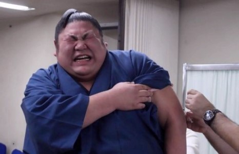 Тариа тариулахдаа хулчийж байгаа Хакухогийн зураг шуугиан тарьжээ