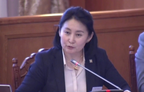 З.Нарантуяа: УИХ-ын гишүүн Ц.Гарамжав, Н.Номтойбаяр нар зээлээ төлчих