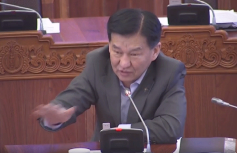 Ц.Даваасүрэн: ”Давхар дээл” орон нутагт ч бий болох нь...