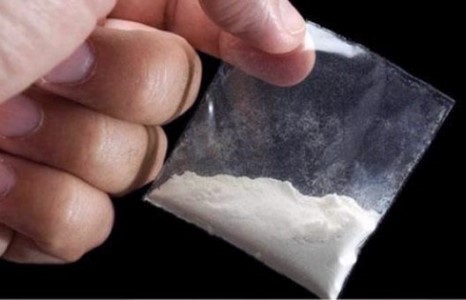 “Цагаан тахал” Монголыг нөмрөх нь