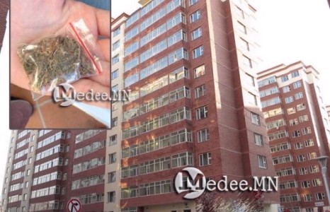 Зэрлэг өвс хэрэглэж байгаад үйлдэл дээрээ баригджээ