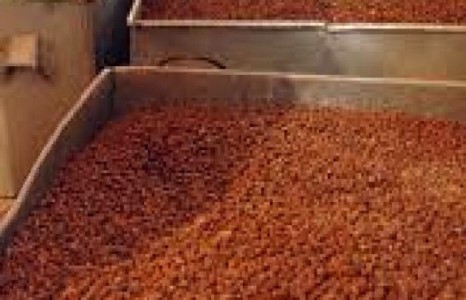 Д.Даваасамбад хахууль өгсөн гэх Ц.Анхбаяр нар нь БОАЖЯ-тай нийлэн “Эм Ди Глобаль Трейдинг”-ийн ТЭРБУМЫН үнэтэй самрыг булаацалдсан хэргээс...