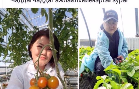 Чаддаг чаддаг ажлаа л хийе гэнэ 