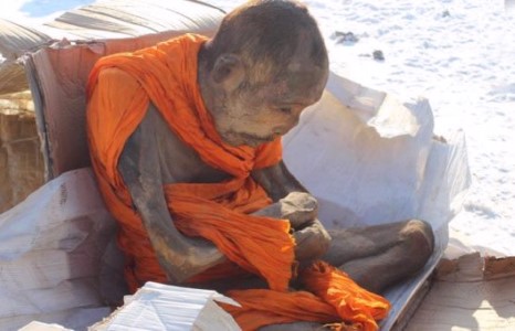 Занданшуулсан шарилын хэрэг дахин сөхөгдөв