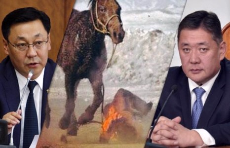 11 настай хүүгийн амийг Ерөнхий сайд Ж.Эрдэнэбат, УИХ-ын дарга М.Энхболд нараас нэхье